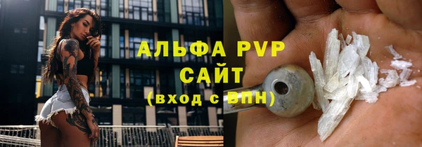 прущие грибы Арсеньев