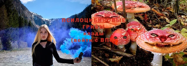 прущие грибы Арсеньев