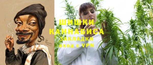 прущие грибы Арсеньев
